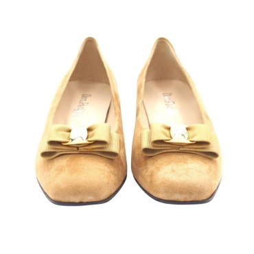 SALÓN CON LAZO ANTE CAMEL