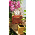 BOLSO KELLY COCO MARRON